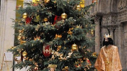 The King Midas tree