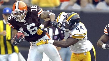 "We've been dead Indians in his cowboy movie enough," Steelers coach Mike Tomlin said about Joshua Cribbs, left.