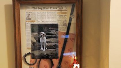 The dog-themed Christmas tree in the mud room at Rose Romboski's house.