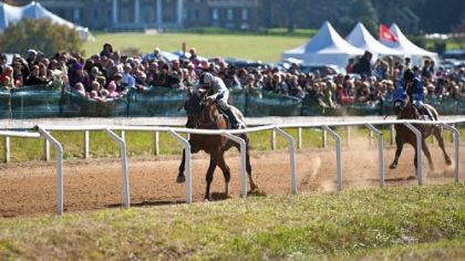 James Madison's home Montpelier makes an elegant backdrop for the excitement of steeplechase racing.