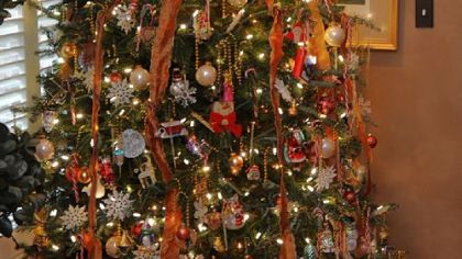 The live tree in Rose Romboski's living room.