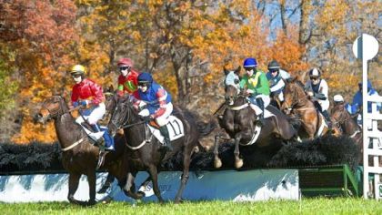 The Montpelier Hunt Races includes the challenge of jumping over fences.