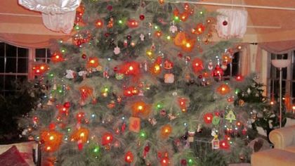David Pecharka of Moon has a live Christmas tree that is 15 feet tall and more than 12 feet wide at the base.