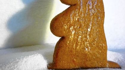 Groundhog cookie
