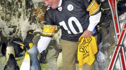 San Diego Mayor Jerry Sanders, attired in black and gold, interacts with King Tut, a king penguin, at SeaWorld San Diego's Penguin Encounter. The Steelers had defeated the Chargers in the 2009 AFC divisional playoff game the week before in Pittsburgh.