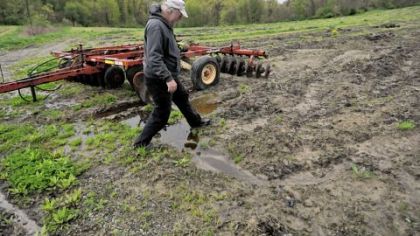 Jim Bridge wades through one of his fields at his farm, Bridge's Farm and Greenhouses in Plum. Mr. Bridge would usually be getting this field ready to plant cantaloupes.