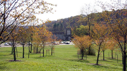 The view last fall of the boathouse at North Park through a grove of 'Accolade' cherry trees planted by the Sakura Project.