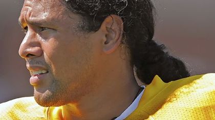 Pittsburgh Steelers safety Troy Polamalu watches defensive drills at training camp at St Vincent College, Latrobe, PA.