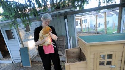 Nancy Chubb with Zoe, a Buff Orpinger chicken, at their home in the city's Spring Hill neighborhood.