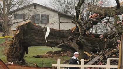 This large tree on Fosterville Road, Hempfield, was uprooted by a tornado late Thursday afternoon.