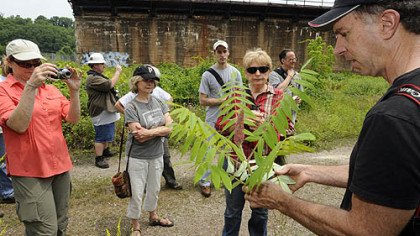 Rick Darke, a nationally known horticulturist, photographer and author, shows a sample of vegetation at the 30-acre Carrie Furnaces site.