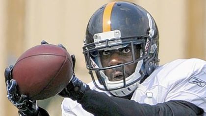 Jerricho Cotchery hauls in a pass in drills Sunday at training camp at Saint Vincent College.