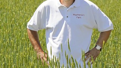 Nigel Tudor in a field of Red Fife wheat at his family's Weatherbury Farm in Independence Twp., Washington County.