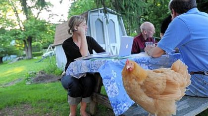 Zoe, a Buff Orpinger chicken, finds a corner of the picnic table with Sarah Jean Mayer and Roger Westman, back right, in Spring Hill. Nancy Chubb and her chickens are part of the 1st Annual Urban Chicken Coop Tour that takes place on Sunday.
