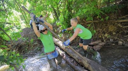 Stephanie Jellison of Blairsville and Natalie Chaussard, 12, of South Fayette help install a multi-log vane in Millers Run in South Fayette. The multi-log vane directs water flow into the center of the stream, which helps prevent erosion of the stream banks. The vanes are part of a $10,000 grant South Fayette and conservation groups received to help improve the stream's water quality and aquatic life.
