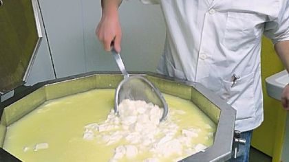 Jonathan Gaugler stirs the curds in the cheese room of his Lawrenceville basement.