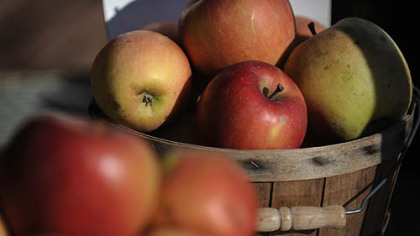 Fuji apples from Woolf Farm in East Rochester, Ohio.