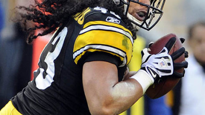 Steelers safety Troy Polamalu.