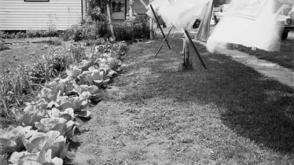 Photo of a garden in Wiles County, Georgia, circa 1993, from Vaughn Sills' book "Places for the Spirit: Traditional African American Gardens."