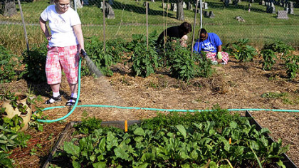 Joan Patricca waters vegetables while David D'Agostino, an habilitation specialist with PA Connecting Communities, works with Raphael Jay weeding in the community garden on the grounds of Allegheny Cemetery in Lawrenceville.