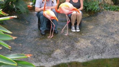 Peter Shankman and Meagan Walker make a flamingo connection at the National Aviary. Visitors can get close to the aviary's American Flamingos during the daily Flamingo Connection program.