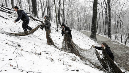 Brian Dolney, left, leads the placement of netting on a slide area of Riverview Park. The netting aids in re-establishing vegetation.