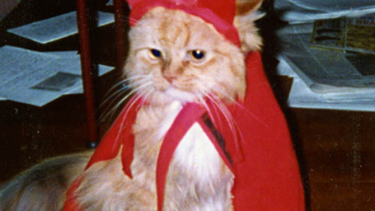 Ralph, dressed as a devil in this photo, was the inspiration for Krenn's radio character, Ralph the Cat.