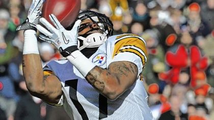 Mike Wallace hauls in a touchdown pass from Ben Roethlisberger against the Browns in the first quarter Sunday at Cleveland Browns Stadium.