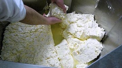 Mr. Gaugler begins the cheddaring process, stacking the slabs of curds.