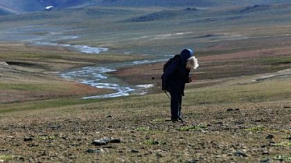 Mary Dawson, curator emeritus of vertebrate paleontology at the Carnegie Museum of Natural History, during the 2007 expedition to Haughton Crater on Devon Island in the Canadian Arctic.