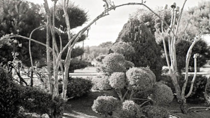 "Places for the Spirit: Traditional African American Gardens" by Vaughn Sills.