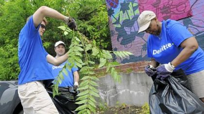 Deloitte LLP  employees from left, Spencer Payne, Dave Gross and Denise Williams pull weeds along Chartiers Avenue in Sheraden on June 10, the company's annual day of service. About 350 Deloitte volunteers split into 12 teams to tackle work around the neighborhood.