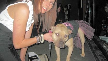 Amy Dengler of Bellevue with her 6-year-old pitbull, Dena, at Hello Bully's third annual Lovers Not Fighters Gala at the Zen Social Club Saturday.