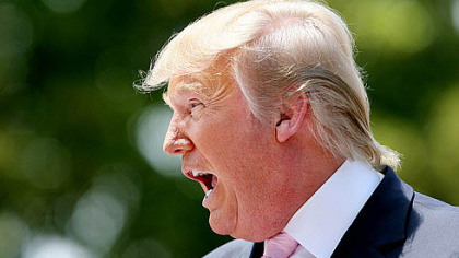 All-American: Donald Trump at the South Florida Tea Party's third annual tax day rally on Saturday in Boca Raton.