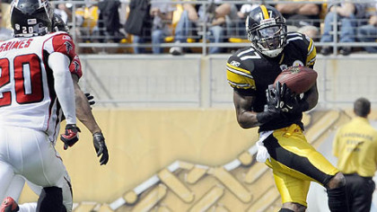 Steelers wide receiver Mike Wallace caught 10 touchdown passes this season.