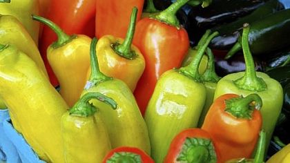 Banana peppers at the FARMERS@FIREHOUSE, Penn Avenue in the Strip.