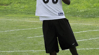 Offseason work helped Emmanuel Sanders emerge as the Steelers' No. 3 wide receiver last season.