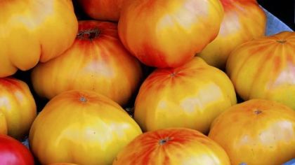 Heirloom tomatoes.