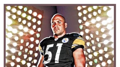 James Farrior, by the numbers. Age: 36. College: Virginia. Years pro: 15. Acquired: As a free agent in 2002. Career: Has been in on 1,361 tackles, including 33.5 sacks.