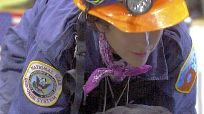 Mary Flood, leashes "Jake" a black Labrador retriever early Saturday morning, Sept. 22, 2001 at the base for FEMA Urban Search and Rescue teams, in New York.