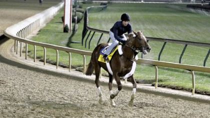 Exercise rider Carlos Correa gallops Breeders' Cup Classic hopeful Ice Box under the lights at Churchill Downs Wednesday. The Classic goes to post at 7 p.m. Saturday.