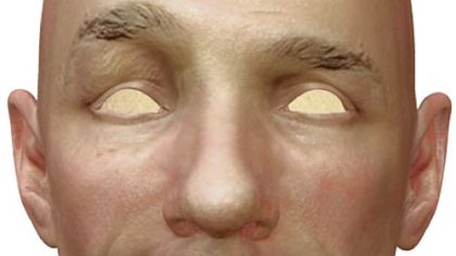 A 3-D face model enables animators to create expressions such as a wink and a smirk.