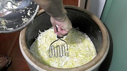 Crocks used in the fermenting process.