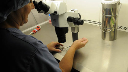 Irene Laffoon, lab supervisor at the Center for Fertility and Reproductive Endorcrinology, demonstrates oocyte cryopreservation -- the freezing of egg cells which have divided into a stage called oocytes -- a new procedure for egg preservation.