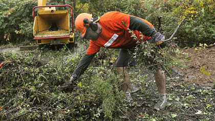 Ed Pietrusinski of the Home Depot store in East Liberty gathers up brush to feed into a chipper outside of the Southwestern Veterans Center on Highland Drive in Lincoln-Lemington on Wednesday.