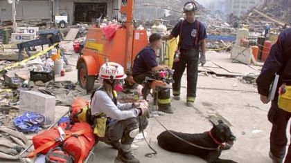 Rescue workers, including a dog trained to sniff for survivors, take a break near the wreckage of the World Trade Center on Sept. 24, 2001.