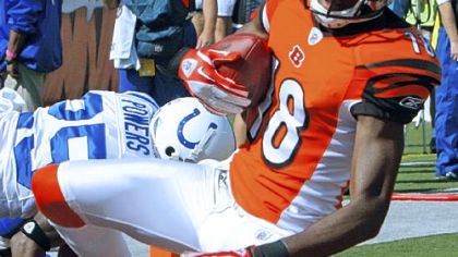 Bengals rookie receiver A.J. Green has been a large part of Cincinnati's surprising success with 40 receptions for 599 yards and five touchdowns.