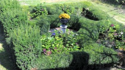 A French parterre garden in a shape of snaffle bit at Karen Atkins garden in New Brighton.