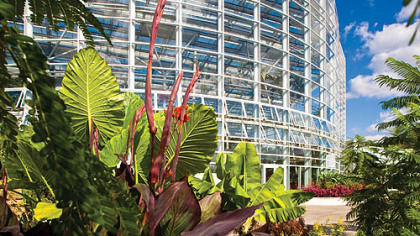 The Tropical Forest Conservatory, the second phose of the Phipps expansion, overlooks the Center for Sustainable Living.
