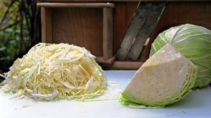 Cabbage with a shredder that belonged to Freda Vogelsberger's father and still works fine. Plus, unlike on some new models, its blades can be sharpened.